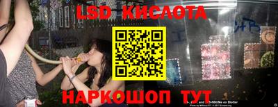 дживик Кингисепп