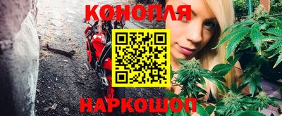 дживик Кингисепп